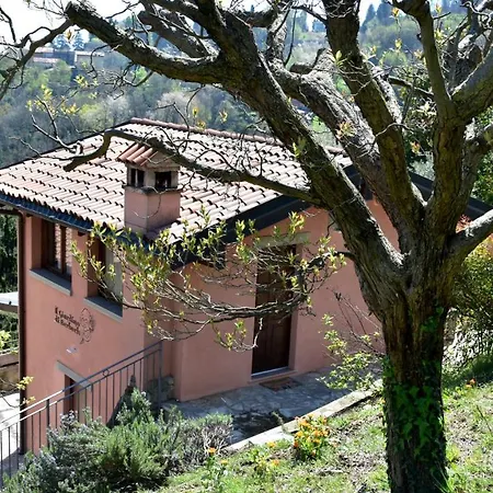 Il Giardino Di Berbech Citta Alta - Castagno