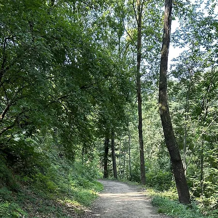 Daire Il Giardino Di Berbech Citta Alta *