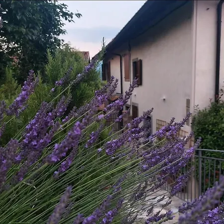 Daire Il Giardino Di Berbech Citta Alta
